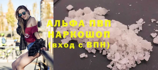 spice Богородицк