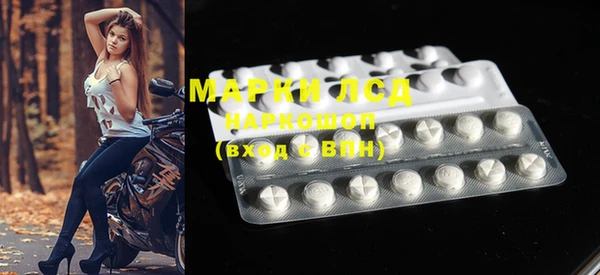 spice Богородицк