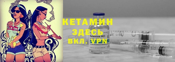 spice Богородицк