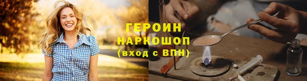 spice Богородицк