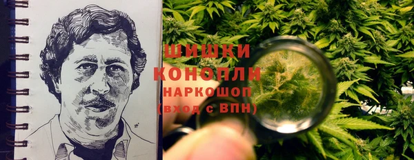 spice Богородицк
