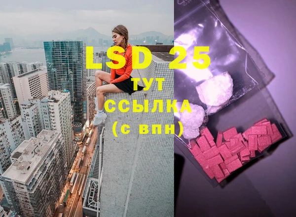 spice Богородицк