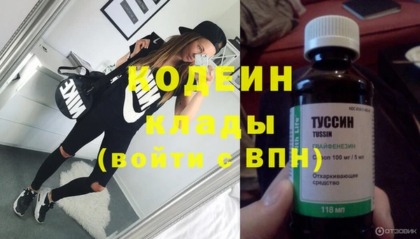 spice Богородицк