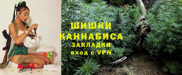 spice Богородицк