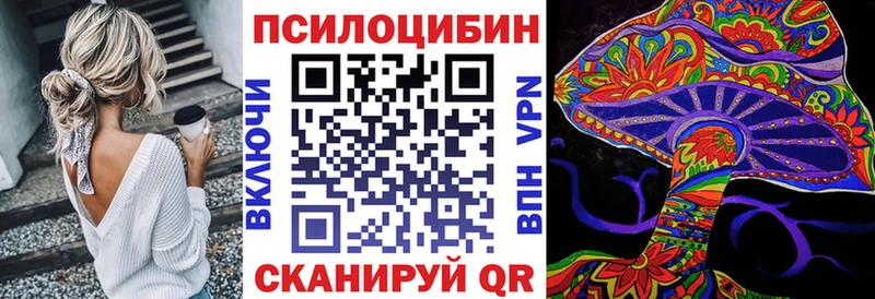 MEGA как войти  Велиж  Псилоцибиновые грибы мицелий 